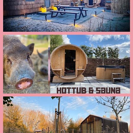 Bed & Wellness Klein Knorrestein With Private Hottub And Sauna And Tandembike Rental Included In Price Алмере Экстерьер фото